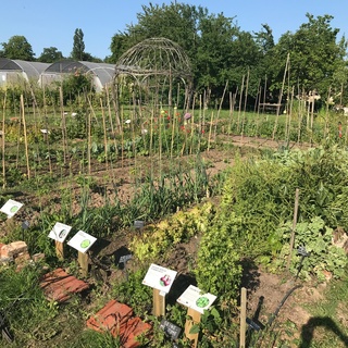 Jardin Potager du Domaine de Chambray
