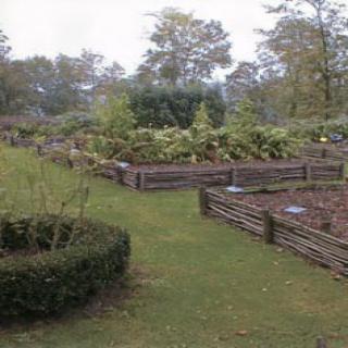 JARDIN MÉDIÉVAL - CAPITULAIRE DE CHARLEMAGNE