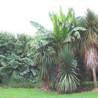 JARDIN EXOTIQUE DE SAINT RENAN