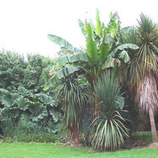 JARDIN DU DOURIC