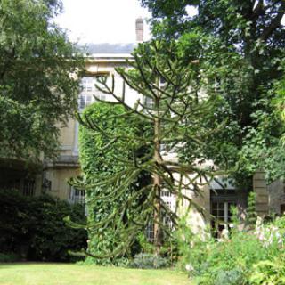 JARDIN DU MUSÉE FLAUBERT ET D'HISTOIRE DE LA MÉDECINE