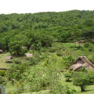 LA SAVANE DES ESCLAVES