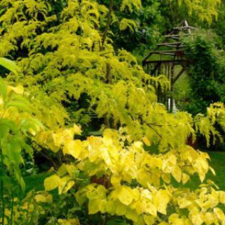 LE JARDIN DE TRAPELUNE