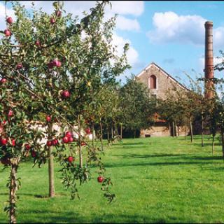 JARDIN ET VERGER DE L'ECOMUSÉE- FERME DU COULEVRAIN