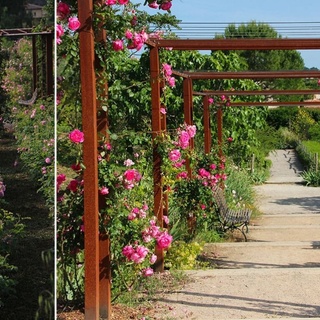 Les Jardins du Musée International de la Pafumerie