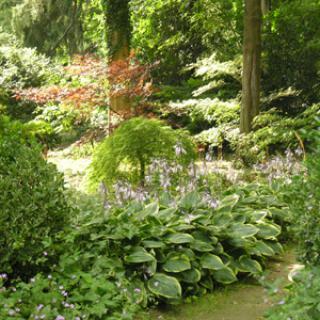 JARDINS DU GRAND COURTOISEAU