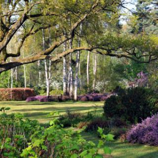 ARBORETUM DES GRANDES BRUYÈRES