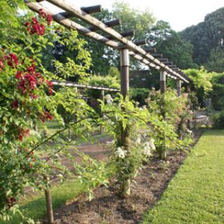 Serres Pédagogiques et Jardin Botanique de Tourcoing