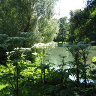 Les Jardins de la Lys