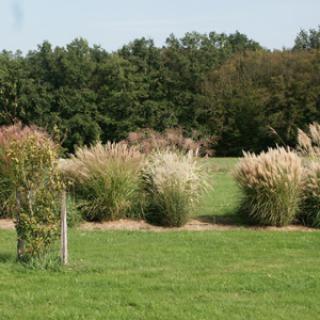 ARBORETUM DE PODESTAT