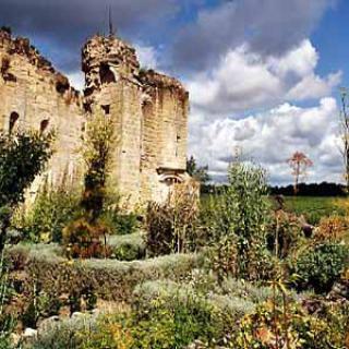 JARDIN MÉDIÉVAL DE PLANTES AROMATIQUES ET MÉDICINALES DE LA COMMANDERIE DE SALLEBRUNEAU