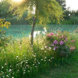 PARC DU MANOIR DE LA JAVELIERE