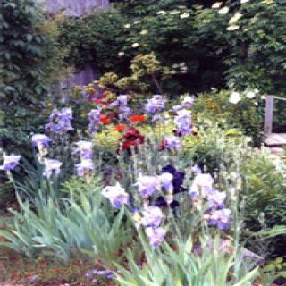 LE JARDIN DES CAIRNS