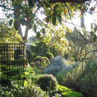 JARDIN DE LA CHÈVRE D'OR