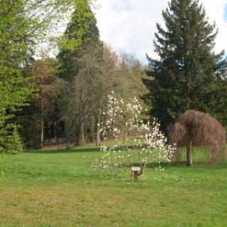 ARBORETUM DU CHÂTEAU DES BRASSEURS