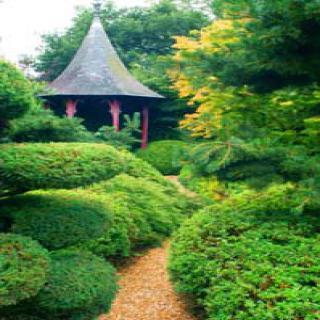 LES JARDINS DE CASTILLON