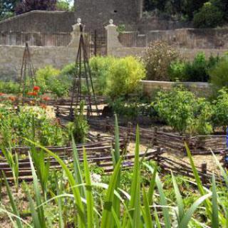 Jardin médiéval Saint Jean des Anneaux