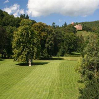 PARC DES RUINES DU CHÂTEAU DE KINTZHEIM