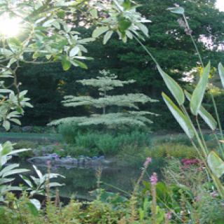 PARC BOTANIQUE DE CORNOUAILLE