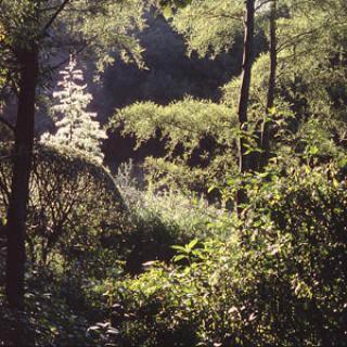 JARDINS CLOS DE LA FORGE