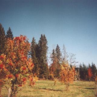 ARBORETUM DU LAVOT