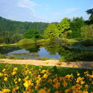 Les Jardins d'eau