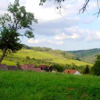 JARDINS DES DOUVES