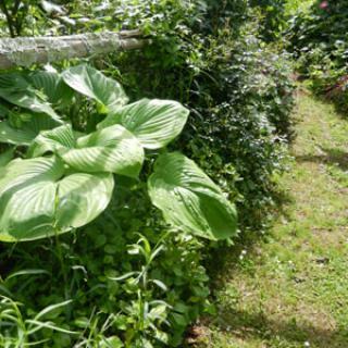 LE JARDIN DE LA PLAGE VERTE