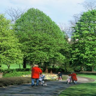 PARC DES CARRIÈRES BACQUIN