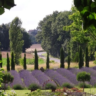 LES JARDINS DU COQ