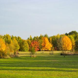 Parc Botanique de Breil de Foin