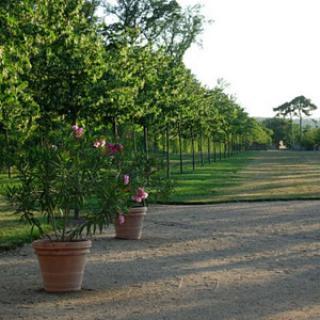 PARC ET JARDINS DU CHÂTEAU D'HAUTERIVE