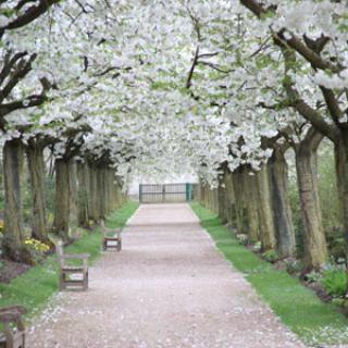 JARDINS DE VALLOIRES