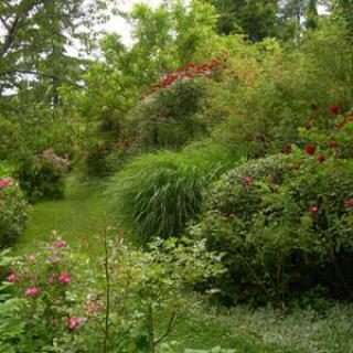 JARDIN DE BOISSONNA