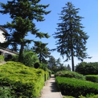 JARDIN DU CHÂTEAU DE BOSREDON