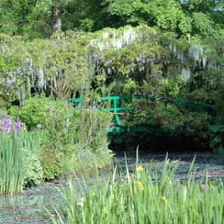 FONDATION CLAUDE MONET