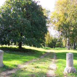 PARC DU CHÂTEAU DE LA GUIGNARDIÈRE