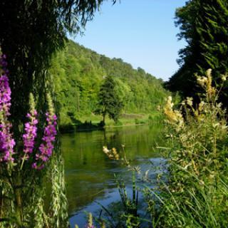 PARC DU CHÂTEAU D'ACQUIGNY