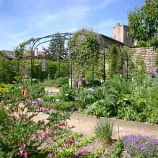 LE JARDIN DE CURÉ - ECOMUSÉE DES MONTS DU FOREZ