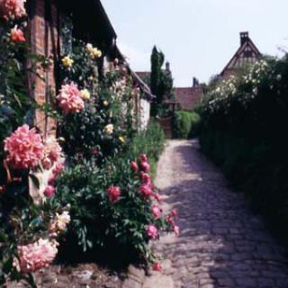 JARDIN DE LA VILLE DE GERBEROY