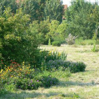 JARDIN BOTANIQUE DU VAL D'YSER