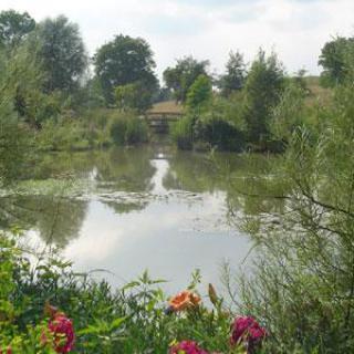 Jardin d'eau de l'Aubépré