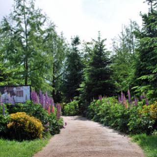 Les Jardins de Colette et son Labyrinthe