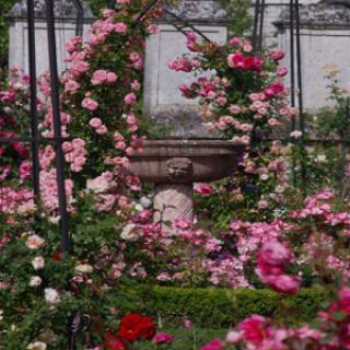 JARDINS DE L'ABBAYE ROYALE DE CHAALIS