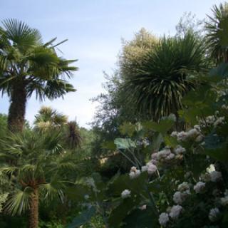 JARDIN DES FLEURS DE POTERIE