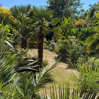 Jardin secret du Château Blanc
