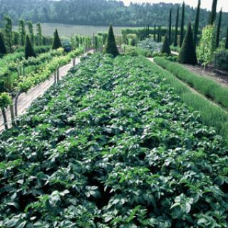 JARDINS DU CHÂTEAU VAL JOANIS