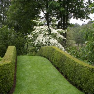 JARDIN DE BERCHIGRANGES