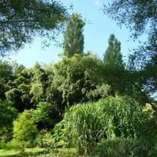 JARDIN DU CLOS DE SAINT SATURNIN