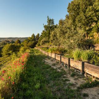 Jardin Botanique de La Citadelle